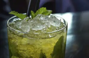 cocktail-recept-mojito-ingredienten